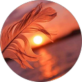 Ragi LakshmiSharanya profile picture